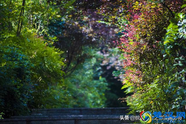 10年前的入门单反相机 搭配一个二手镜头 拍出的照片质量到底如何