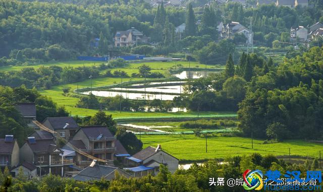 10年前的入门单反相机 搭配一个二手镜头 拍出的照片质量到底如何