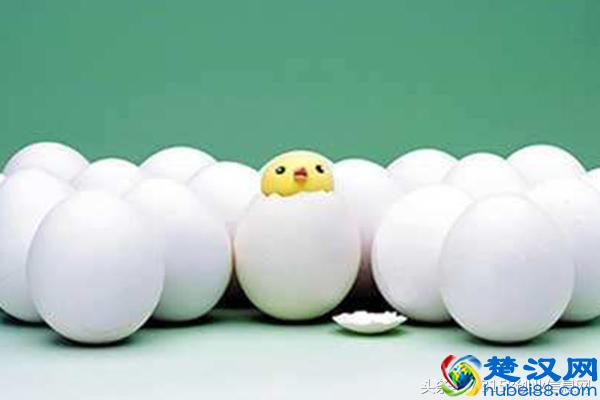 没钱做什么生意好？有哪些适合白手起家的创业项目？