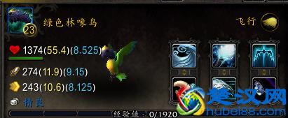 魔兽世界：还在苦恼要抓什么野外小宠物吗？我以准备25只供你选择