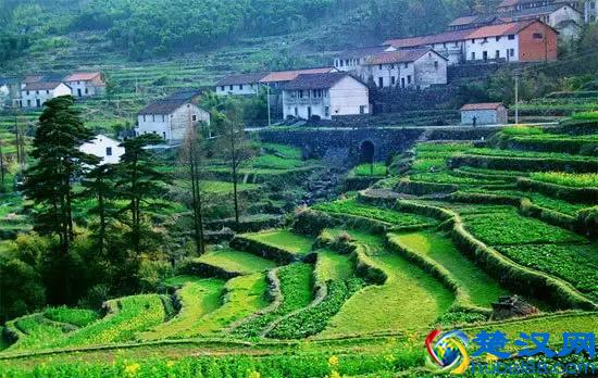 大学毕业，回农村你能做什么？