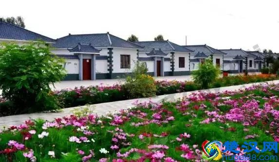 大学毕业，回农村你能做什么？