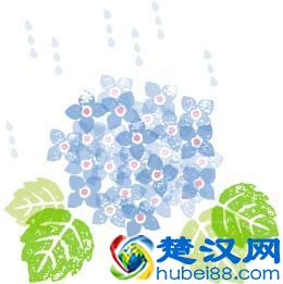 什么是真正的幼小衔接？你选对了吗？（干货）