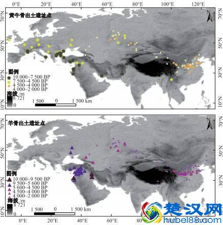 “六畜”都是从哪儿来的？