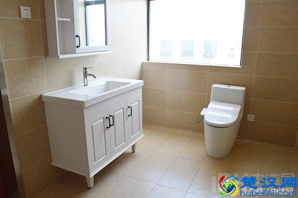 浴室柜评测之帝王洁具尚锐系列浴室柜