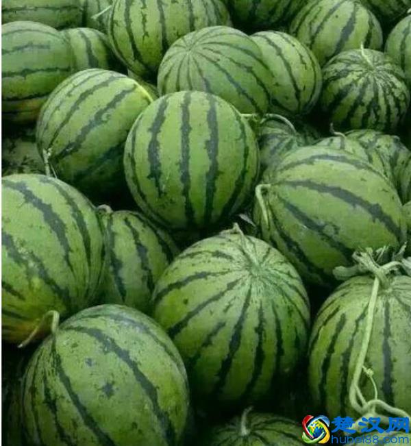 西瓜甜不甜？四步挑选窍门在这里，轻松挑到又大又甜的好西瓜