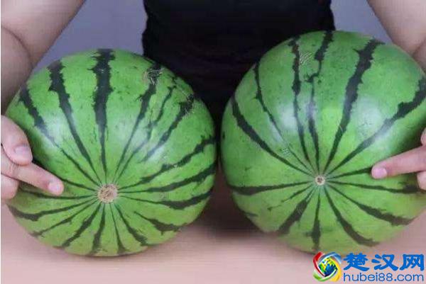 西瓜甜不甜？四步挑选窍门在这里，轻松挑到又大又甜的好西瓜