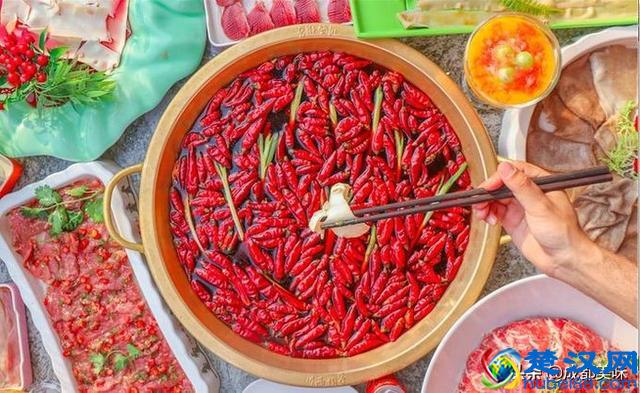 川西坝子，你值得拥有！