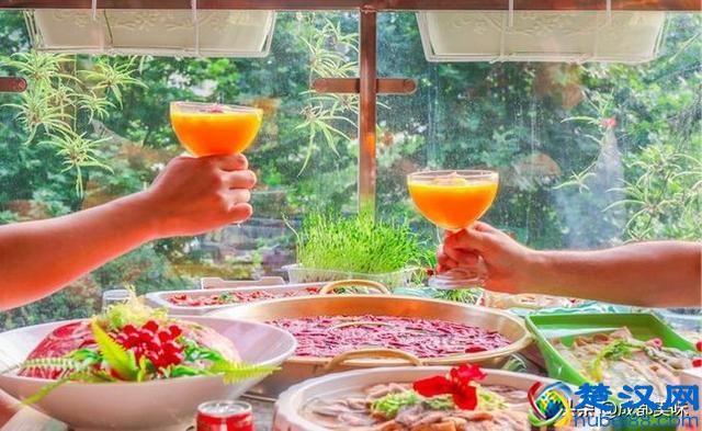 川西坝子，你值得拥有！