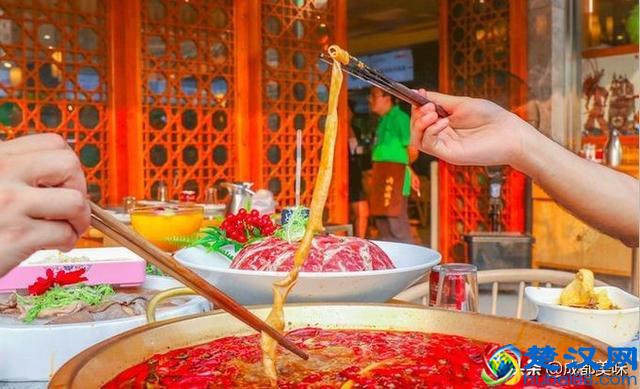 川西坝子，你值得拥有！