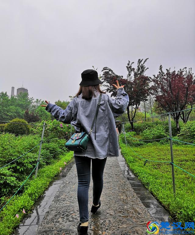 洛阳牡丹花似锦,百媚千娇倾人心