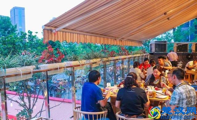 川西坝子，你值得拥有！