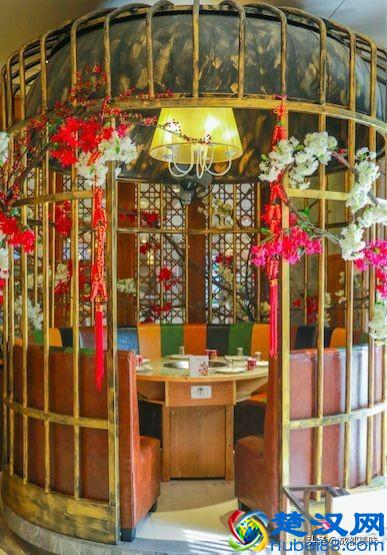 川西坝子，你值得拥有！