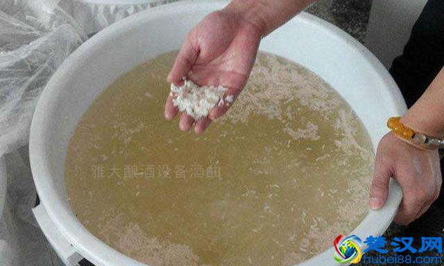 夏季用酿白酒设备做生料酿酒注意这6点，口感好到爆！