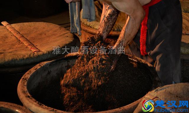 夏季用酿白酒设备做生料酿酒注意这6点，口感好到爆！