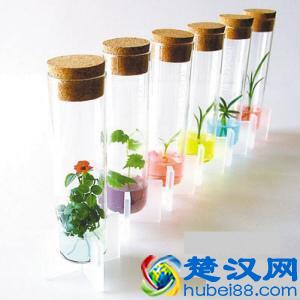 小夫妻创业项目推荐-小夫妻干什么项目好