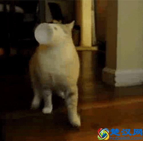 饭后喝点酸奶能助消化吗？