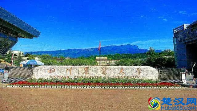 四川最好的7所大学，有2所世界级大学，西南交大第3，川农第5