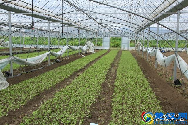 台风来了，你的果园准备好了吗？