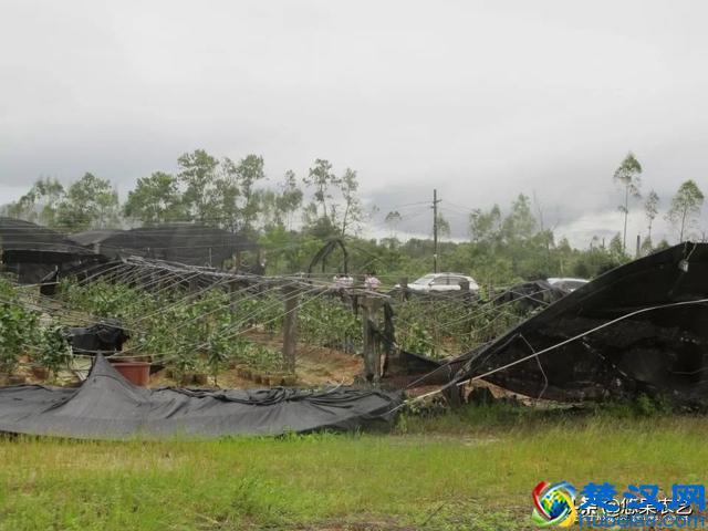 台风来了，你的果园准备好了吗？