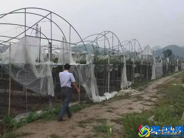 台风来了，你的果园准备好了吗？