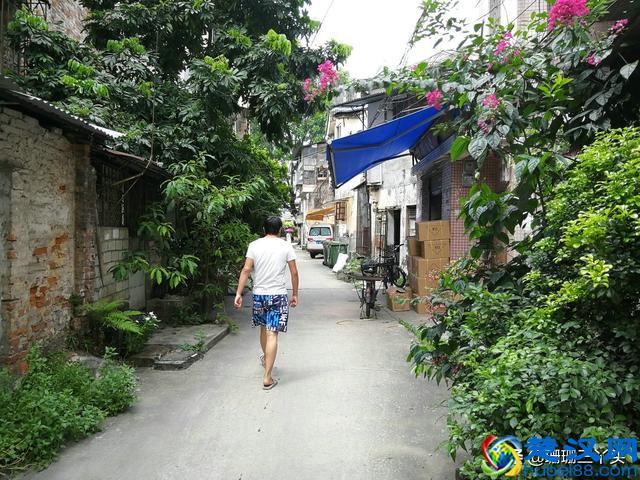 广州的“乌衣巷”，从前“广州第一家族”居住地，如今归于平静