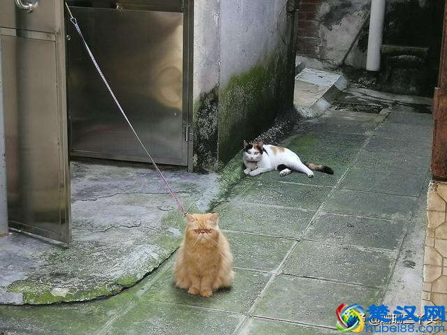 广州的“乌衣巷”，从前“广州第一家族”居住地，如今归于平静