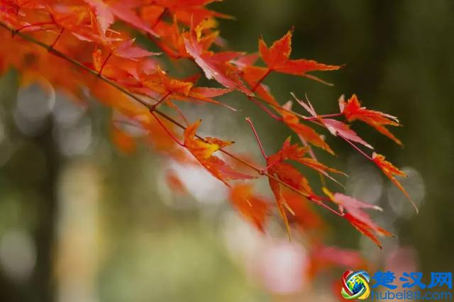 西安思源学院从没有过任性！父母必看