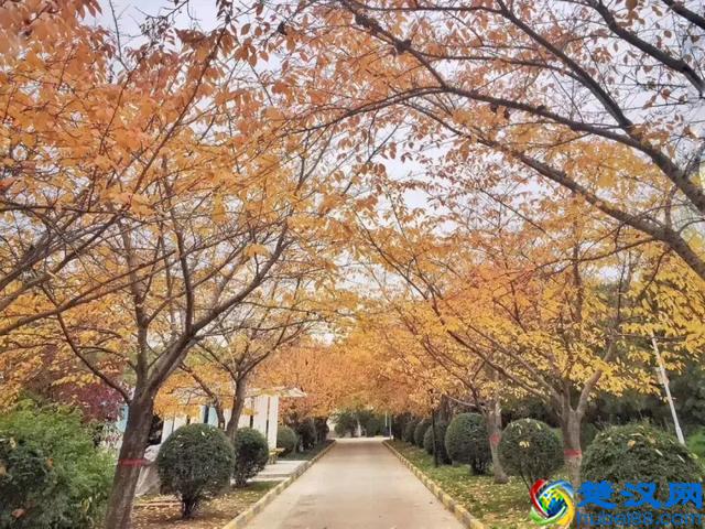 西安思源学院从没有过任性！父母必看