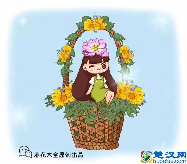 十二个月份的时令花，个个娇艳动人，原来守护你的就是它！