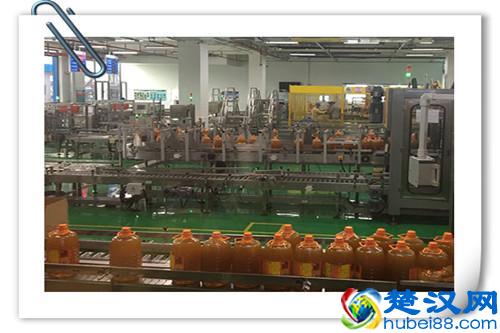 在农村除了种植，还有什么可以做加工的？推荐以下八个项目供参考