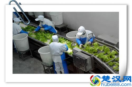 在农村除了种植，还有什么可以做加工的？推荐以下八个项目供参考