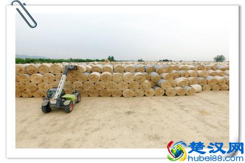 在农村除了种植，还有什么可以做加工的？推荐以下八个项目供参考