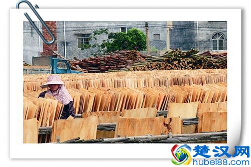 在农村除了种植，还有什么可以做加工的？推荐以下八个项目供参考