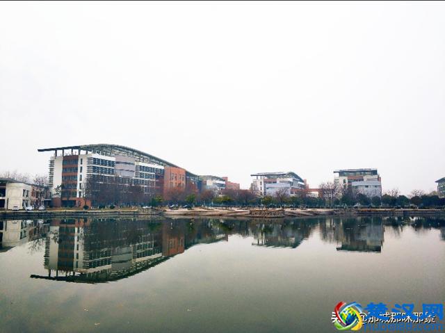 全国第四，江苏第一，厉害了宿迁学院！