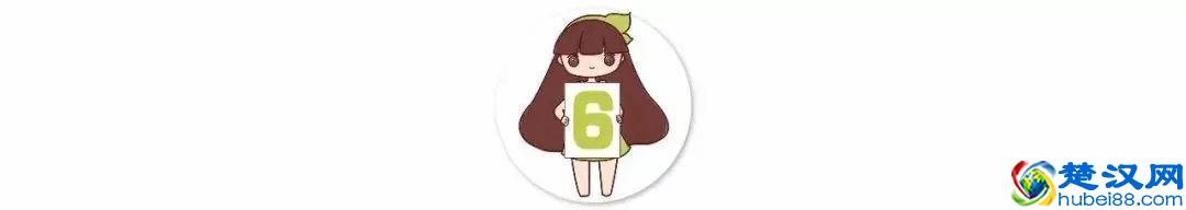 十二个月份的时令花，个个娇艳动人，原来守护你的就是它！