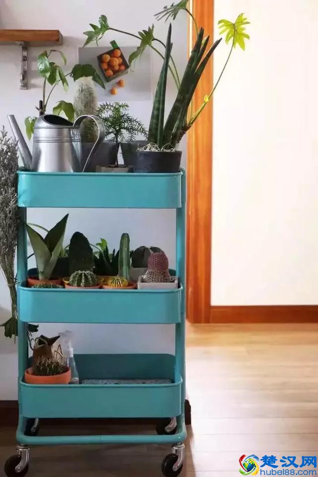 北美宜家、MUJI红黑榜单：哪些该买，哪些不该买？