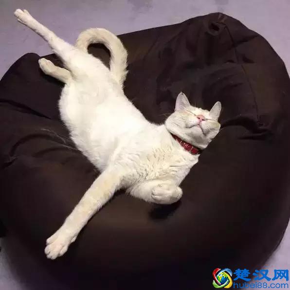 北美宜家、MUJI红黑榜单：哪些该买，哪些不该买？