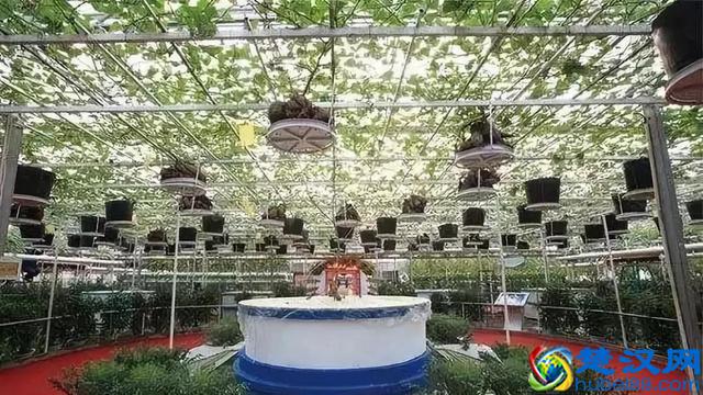 令人震撼的现代农业