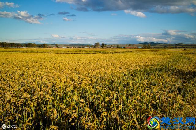 cry是“哭”，那cry up是什么意思呢？跟“哭”没有半毛钱关系！