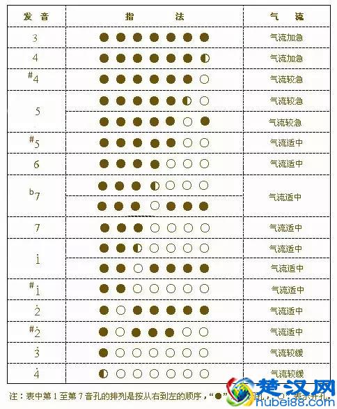 葫芦丝指法，太全面了！手把手教你如何吹好葫芦丝！