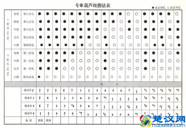 葫芦丝指法，太全面了！手把手教你如何吹好葫芦丝！