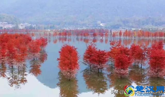 父爱如山，父亲是一个家庭的顶梁柱