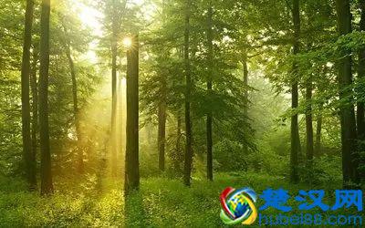 如何写一篇高质量的书评？