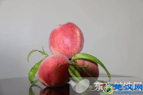 桃子属于什么种类的水果 吃桃子的5个禁忌