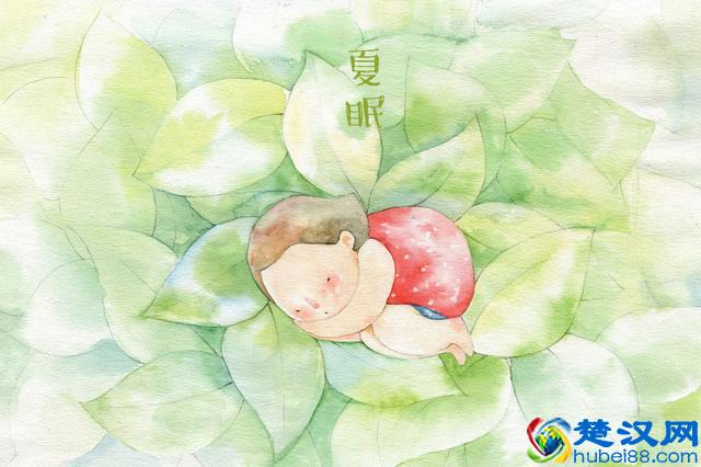 除了冬眠，其实还有“夏眠”，你知道有哪些动物会“夏眠”嘛？