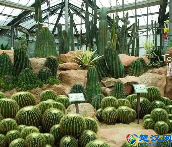 令人震撼的现代农业