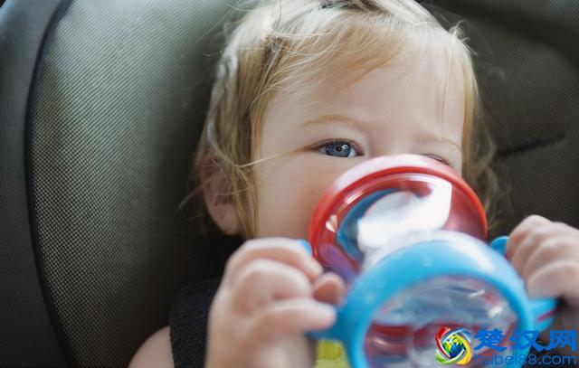 盘点最受欢迎的10款“网红”学饮杯