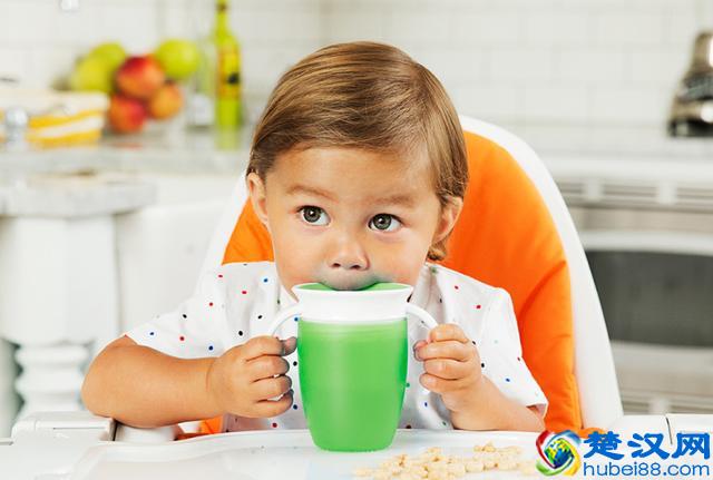 盘点最受欢迎的10款“网红”学饮杯