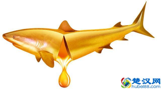 鱼肝油不能滥吃，专家教你科学食用鱼肝油